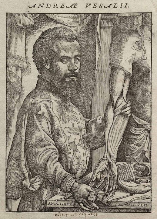 Andreas Vesalius, from the Fabrica (1543), attributed to Jan van Calcar.