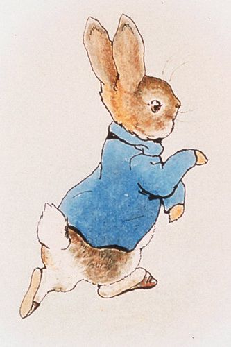 An-Original-Illustration-Of-Peter-Rabbit-From-1902-Author-Beatrix-Potter (Peter Rabbit)