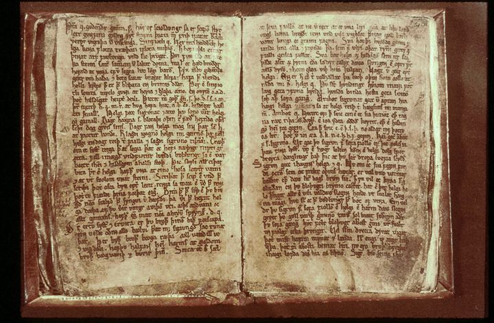 Portrait of Codex Regius.