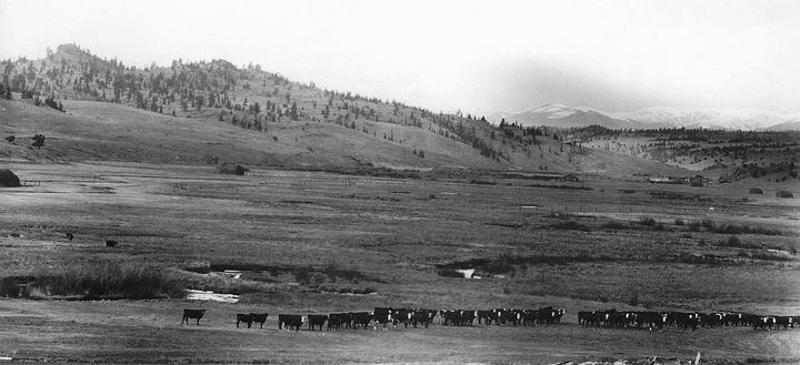 View of Tarryall Mountains near Tim Borden Ranch in Park County, Colorado, early 1900s - DPLA - 26bf4f6d9df415f978fa72c19092342a (Little Britches)