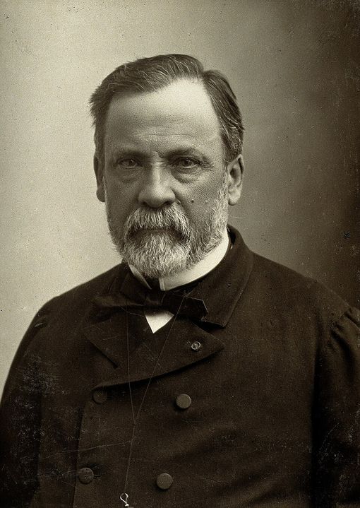 Portrait of Louis Pasteur (c. 1878).