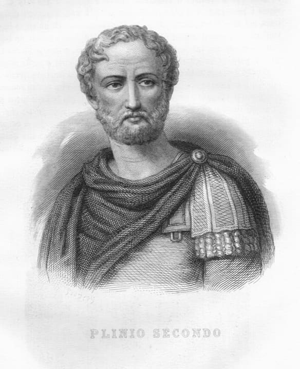 Posthumous or imagined likeness of Pliny the Elder.