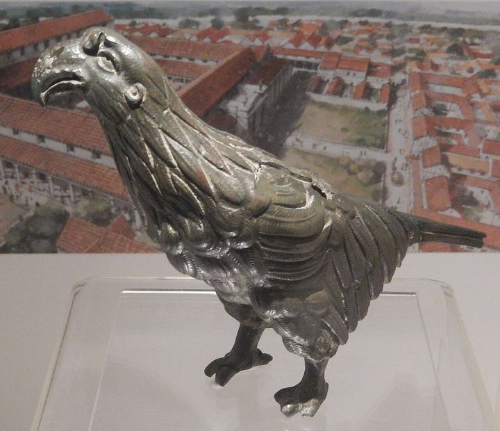Silchester eagle on display at Reading Museum (The Eagle of the Ninth)