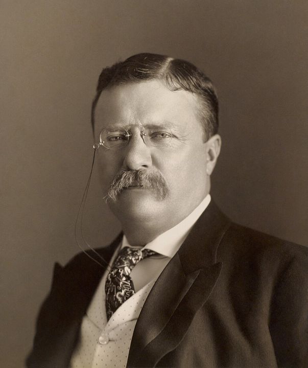 Portrait of Theodore Roosevelt (1904).