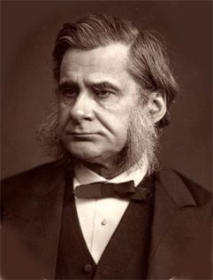 Portrait of Thomas Henry Huxley.