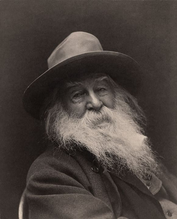 Portrait of Walt Whitman.
