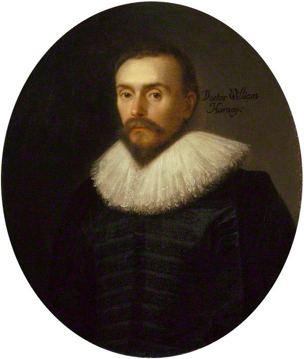 Portrait of William Harvey (1627).