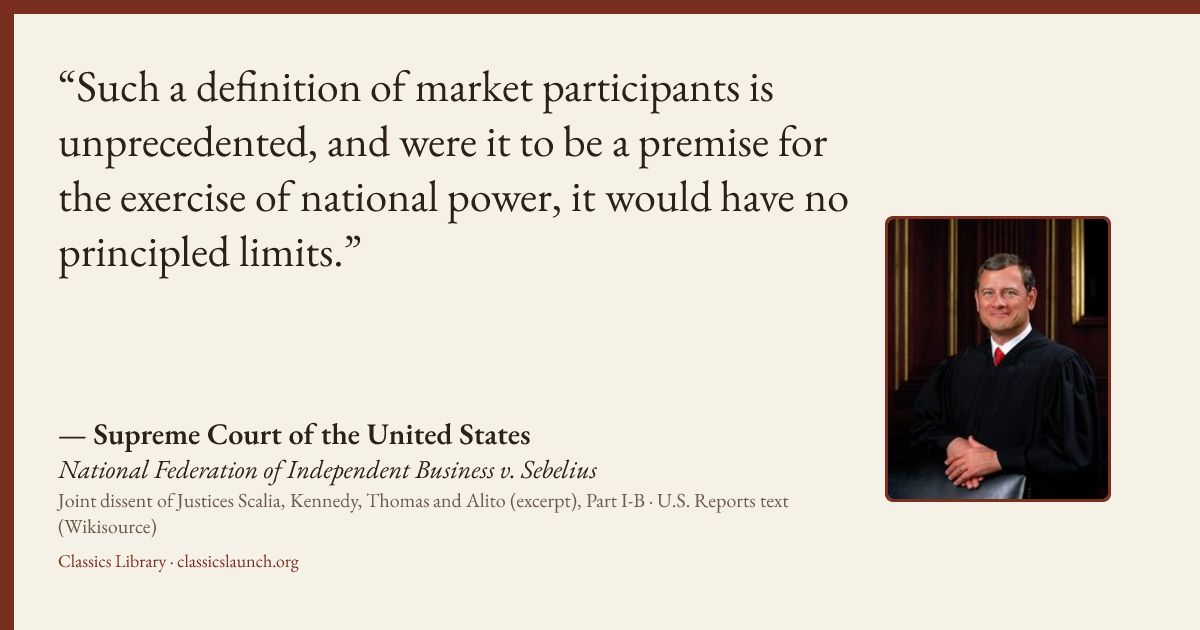 Quote card: Such a definition of market participants is unprecedented, and were it to be a p